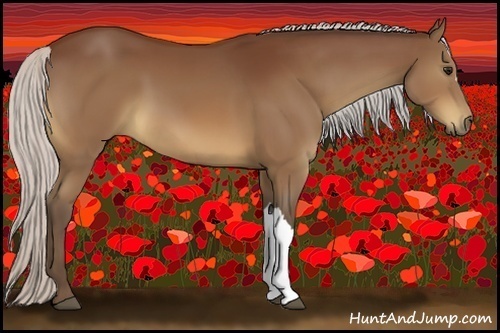 Horse Color:Silver Bay 