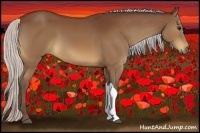 Horse Color:Silver Bay 