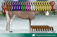 Horse Color:White Spotted Silver Black Sabino Splash