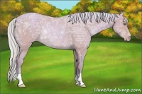 Horse Color:Watercolor Silver Sable Champagne Ice Rabicano 