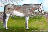 Horse Color:Brown Ice Splash