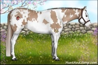 Horse Color:White Spotted Black Pearl Splash 