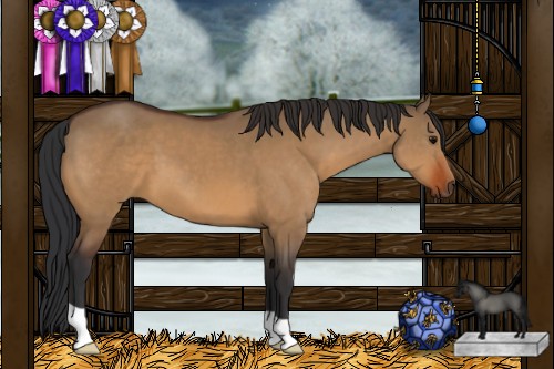 Horse Color:Brown Dun