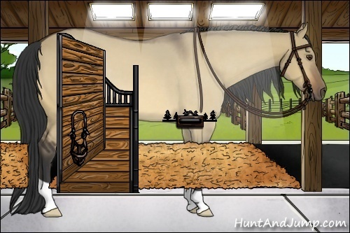 Horse Color:Buckskin Dun 