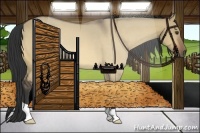 Horse Color:Buckskin Dun 