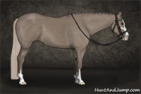 Horse Color:Silver Grullo Sabino 
