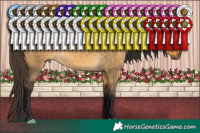 Horse Color:Buckskin Dun