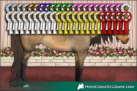Horse Color:Buckskin Dun 