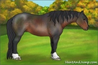 Horse Color:Brown 