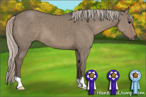 Horse Color:Silver Grullo 