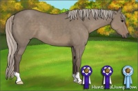 Horse Color:Silver Grullo