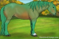 Horse Color:Watercolor Bay 