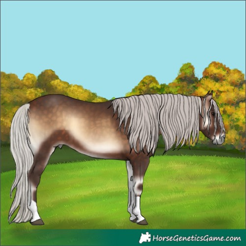 Horse Color:Silver Brown Onyx Tobiano 