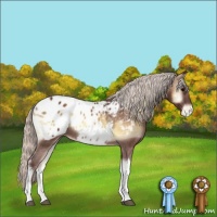 Horse Color:Chocolate Silver Brown Onyx Tobiano Appaloosa