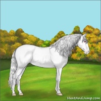 Horse Color:Silver Amber Cream Champagne Chinchilla Roan Onyx Appaloosa Brindle
