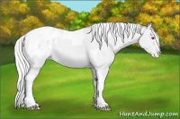 Horse Color:Silver Amber Champagne Chinchilla Tobiano Varnish 