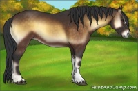 Horse Color:Brown Onyx 