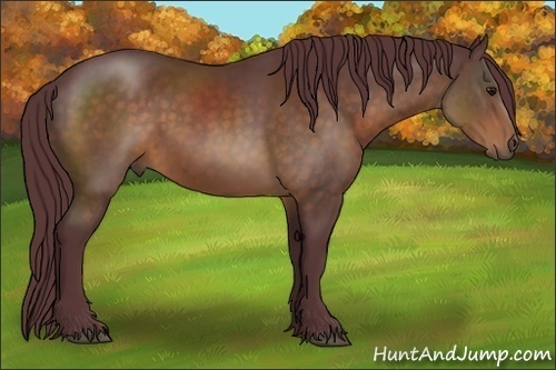 Horse Color:Chocolate Brown 