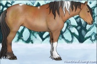 Horse Color:Bay Tobiano Rabicano 