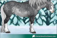 Horse Color:Silver Brown Chinchilla Splash 