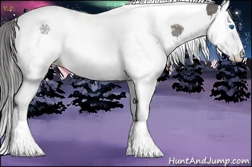 Horse Color:White Spotted Grullo Splash Tobiano Blanket