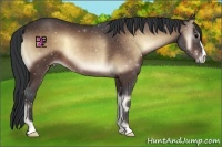Horse Color:Brown Onyx 