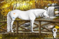 Horse Color:Silver Perlino Dun 