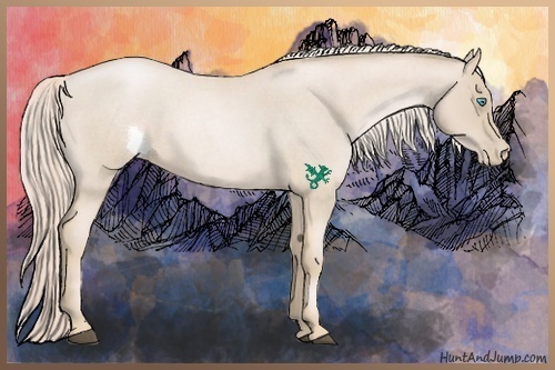 Horse Color:Palomino Roan Pearl 