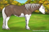 Horse Color:Silver Black Splash