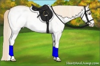 Horse Color:White Spotted Palomino 