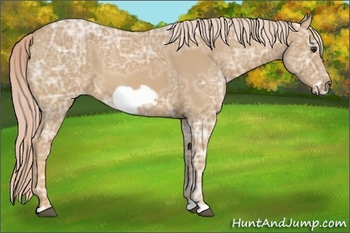 Horse Color:Palomino Ice Roan Frame 