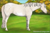 Horse Color:Palomino Ice Roan Pearl Frame