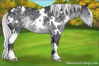 Horse Color:White Spotted Silver Black Chinchilla Sabino