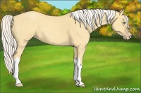 Horse Color:Silver Amber Cream Champagne Roan Dun 