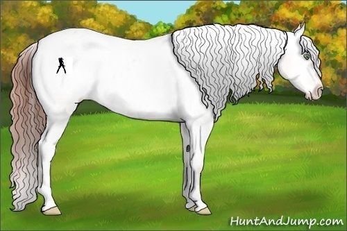Horse Color:Sable Champagne Dun Varnish