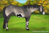 Horse Color:Blue Onyx Roan Frame 