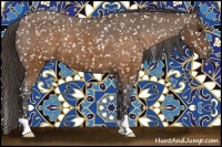 Horse Color:Buckskin Snowflake Varnish