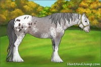 Horse Color:White Spotted Brown Tobiano Varnish 