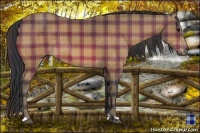 Horse Color:Plaid Brown