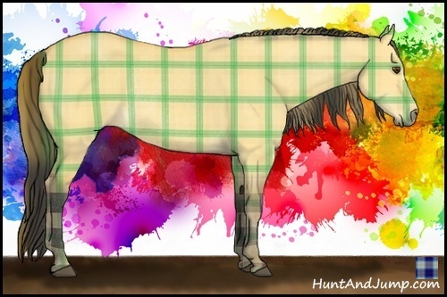 Horse Color:Plaid  Buckskin Dun Rabicano 