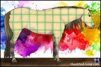 Horse Color:Plaid Buckskin Dun Rabicano