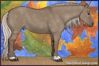 Horse Color:Silver Grullo