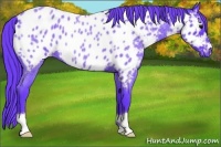 Horse Color:Watercolor Blue Roan Near Leopard 