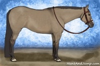 Horse Color:Smoky Grullo 