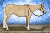 Horse Color:Silver Smoky Grullo 