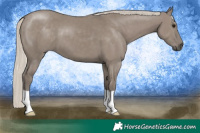 Horse Color:Silver Smoky Grullo