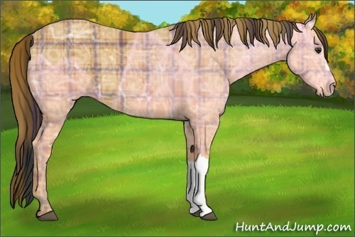 Horse Color:Plaid  Bay Ice 