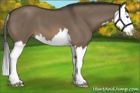 Horse Color:Brown Roan Dun Splash
