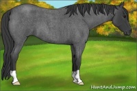 Horse Color:Smoky Blue Roan 