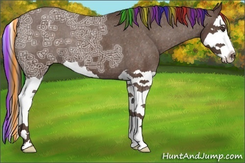 Horse Color:Painted Liver Chestnut Ice Splash Appaloosa 